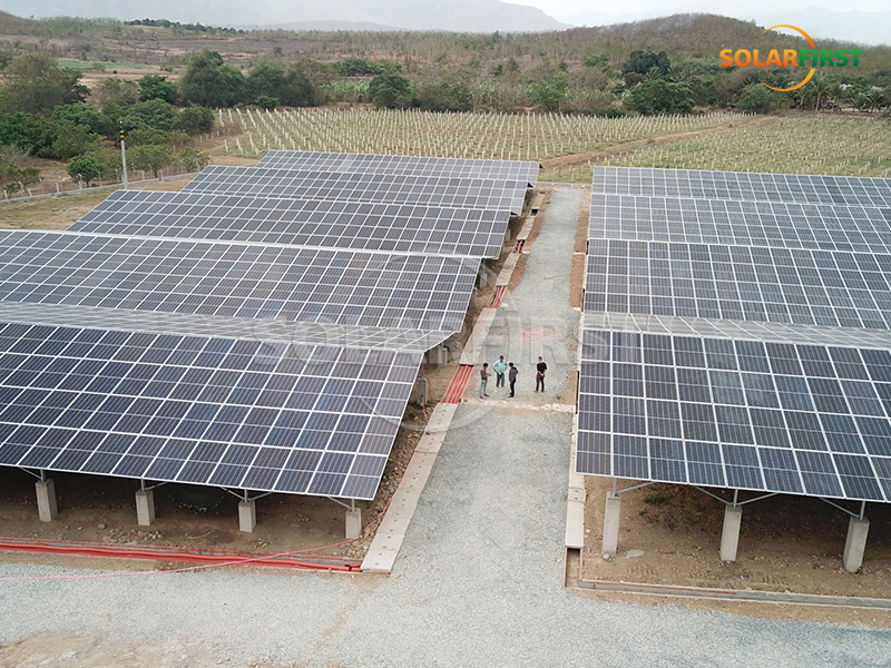 ベトナムの15MWp農業用地上太陽光発電所